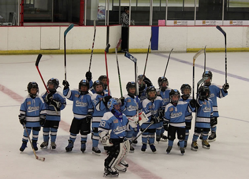 A group of young hockey players posing for a picture.