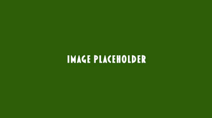 Placeholder3
